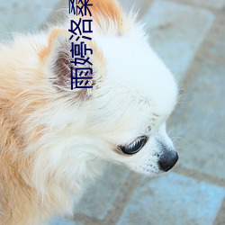九游会登录j9入口 - 中国官方网站 | 真人游戏第一品牌