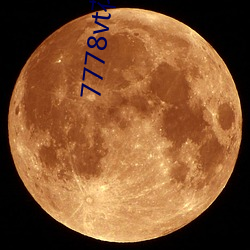 7778vt花蝶直播