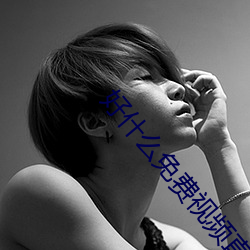 好什么免费视频(pín)直播