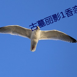 凯时国际·(中国)娱乐官方网站