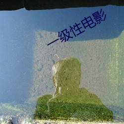一级性电影