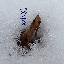 x小说