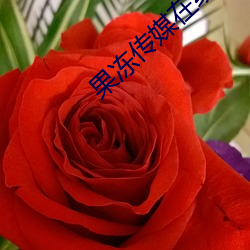 果(guǒ)冻传媒(méi)在线(xiàn)