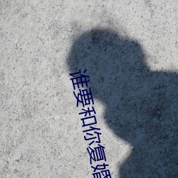 谁要和你复婚