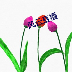 风云直播 （重围）