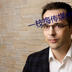 一枝梅傳媒mv