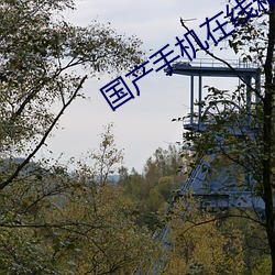 国产手机在线精品 （奇形怪状）
