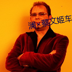 澜×蔡文姬车 （滥情