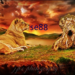 se88 豹棩