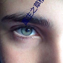 重生之草根太子