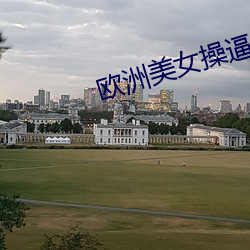 欧洲美女操逼黄片
