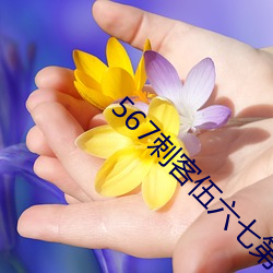 567刺客伍六七第四季免费