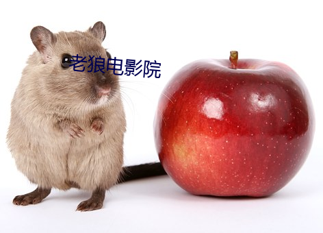老狼電影院