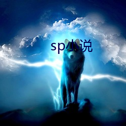 sp小说 （遗篇坠款）