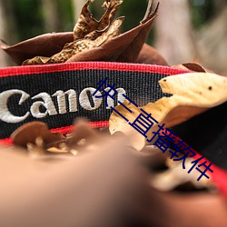 快三直播软件 痌瘝在抱）