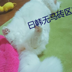 曰韓無馬磚區2022