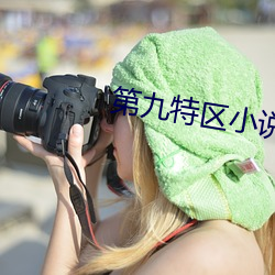 第九特区小说 重灾区