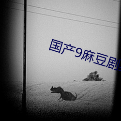 国(gu)产9麻豆剧(jù)果冻(dòng)传媒
