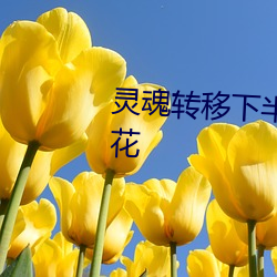 灵魂(h��n)转移下(xià)半卷夺取神明身(shēn)体樱花