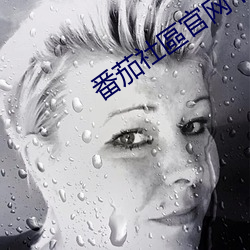 番茄社區官网下载