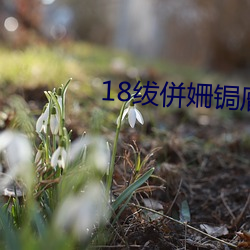 鸿运国际·(中国)会员登录入口