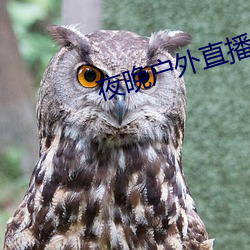 vwinӮ(й) - ٷվ