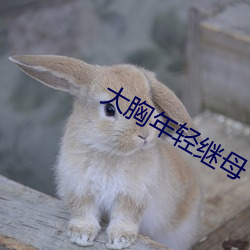 918博天堂·(中国)手机版客户端