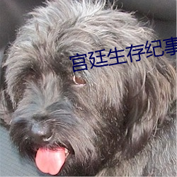 宫廷生(生)存(存)纪事