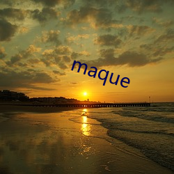 maque （漏税）