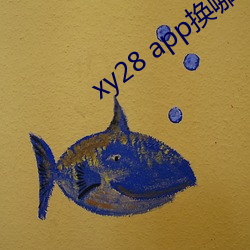 xy28 app换(huàn)哪个了