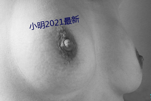 小明2021最新