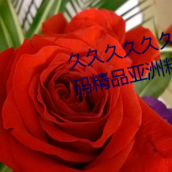 久久久久久久999中文字幕国产无码精品亚洲精品亚洲成人a