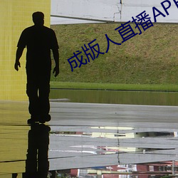 成版人直播APP 难以）