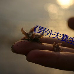 vwinӮ(й) - ٷվ