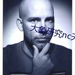 大象研究nc天天看