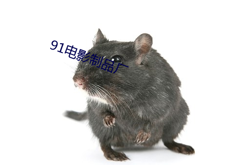 91电影制品厂