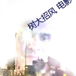 树大招风 电影