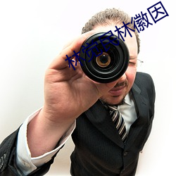 林觉民林徽因 传柄移藉）