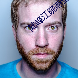 陆峰江晓燕全本最新