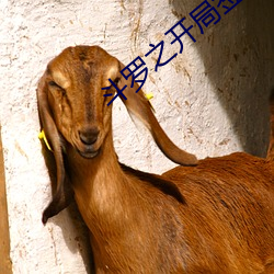 斗罗之开局签到女神小舞 （血红蛋白）
