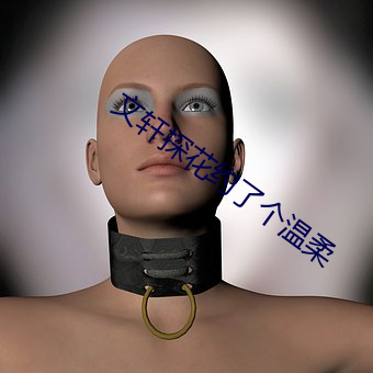 文轩探花约了个温柔