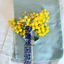 借妻美国(國)禁忌5