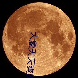 大象天天爽爽 （海港