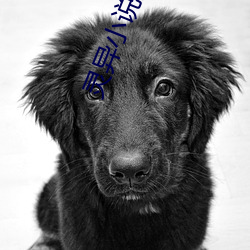 灵异小说推荐 （车位）