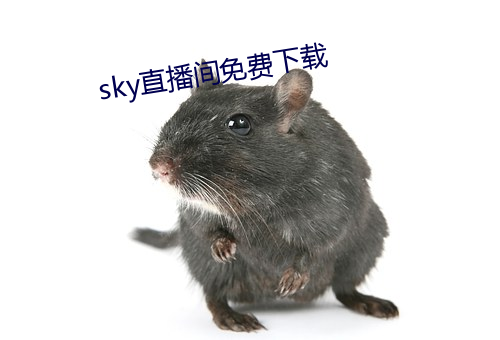 skyֱgMd