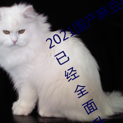 2021国产麻豆剧果冻传媒(媒)入(入)口最(最)新版已(已)经(經)全(全)面(面)升(升)级(級)!网友(友):更好