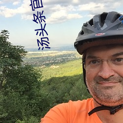 汤(湯)头条官网导航
