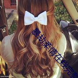 暴劫柔情在线完整版在线观