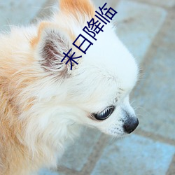 末日降臨