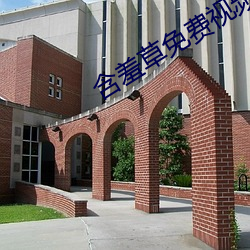 含羞草免费视频